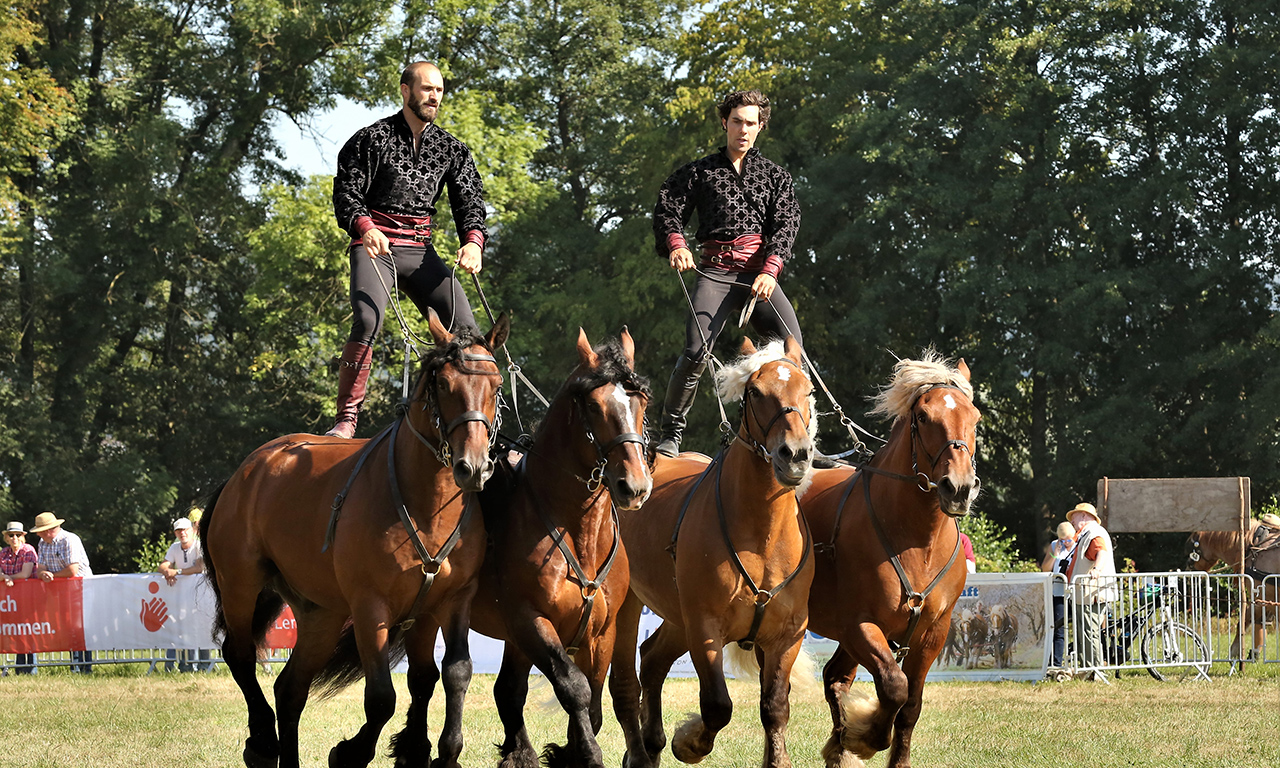 Pferdestark – Reiten im Stehen