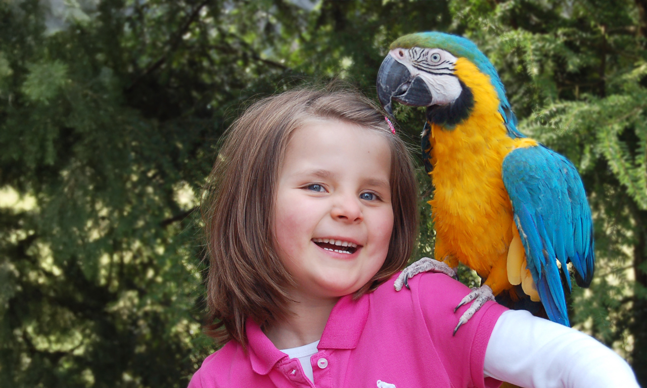 Gutschein: Vogelpark Heiligenkirchen Erwachsenentickets vogelpark-heiligenkirchen-gutscheinbox-maedchen-papagei