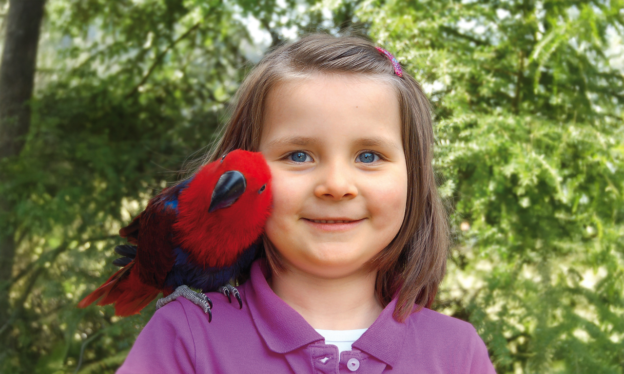 vogelpark-heiligenkirchen-gutscheinbox-mdchen-vogel
