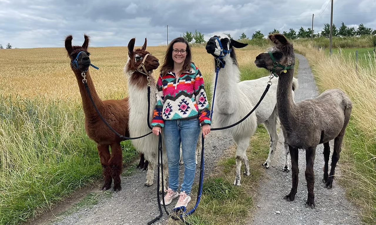 Lindas Lamas - Gruppenbild
