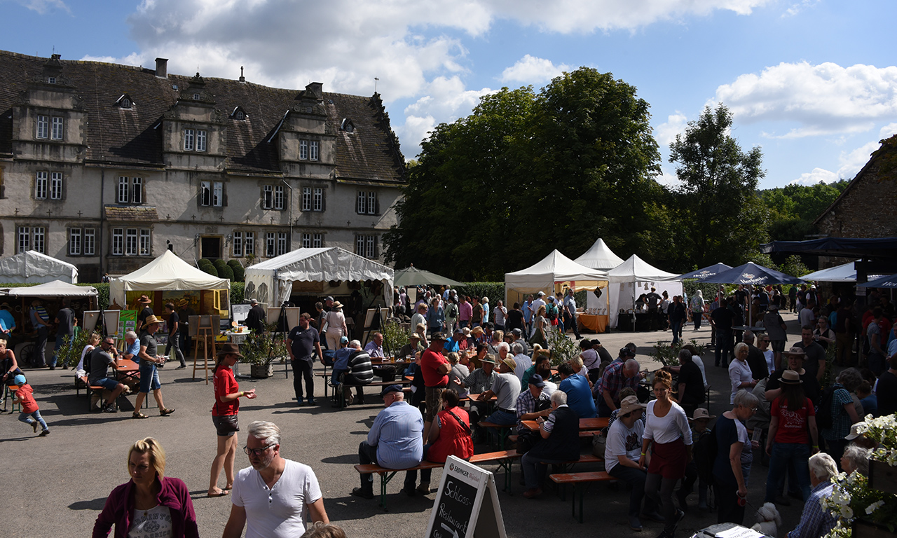 Pferdestark am Schloss