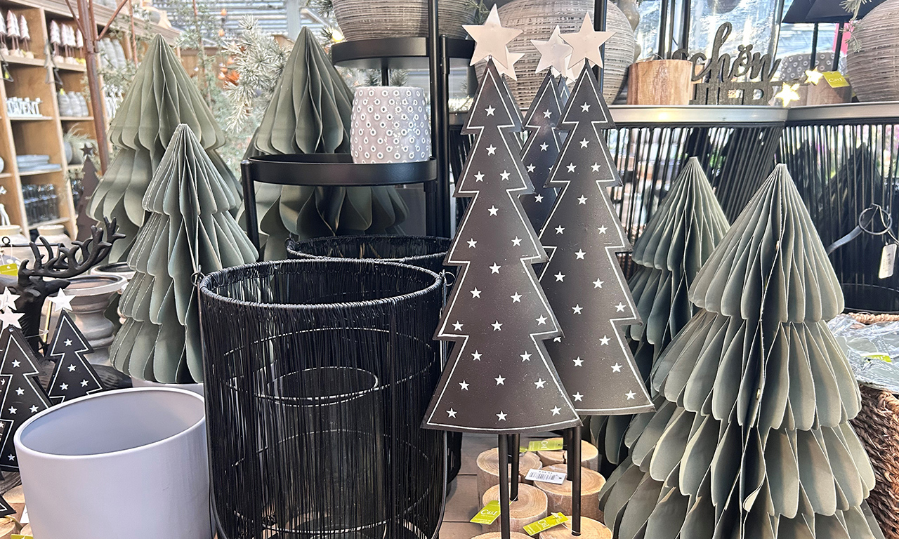 Gartencenter Brockmeyer - Tannenbäume als Weihnachtsdeko
