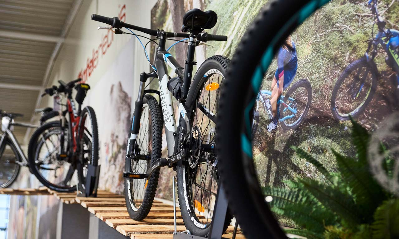 Mountainbike bei Hempelmann Lippe-Bikes